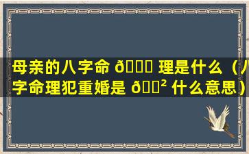 母亲的八字命 💐 理是什么（八字命理犯重婚是 🌲 什么意思）